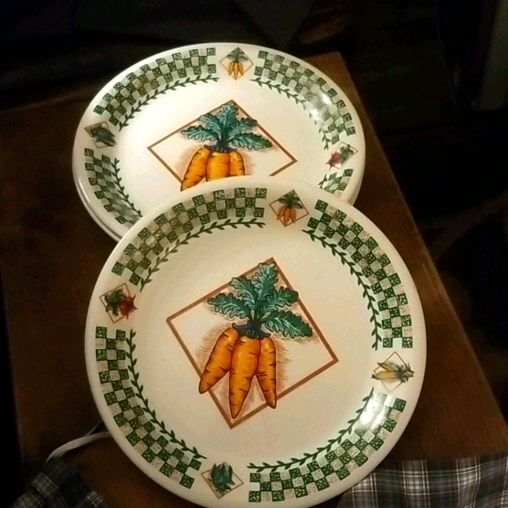 VTG Tabletops Fresh Garden Plate Carrots